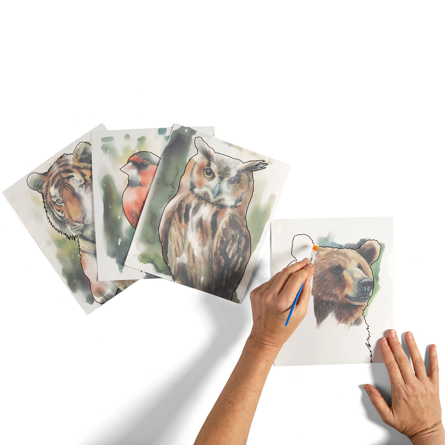 Paint with Water -  Amazing Animals